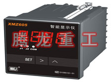 溫度表、數(shù)字顯示儀、濕度表